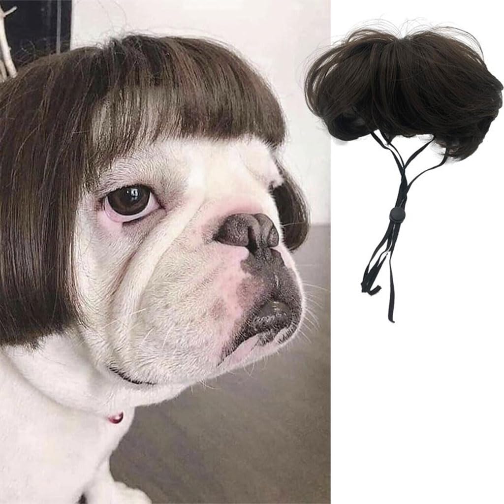 Qpets Funny Dog Wig with Adjustable Chin Strap Pet Funny Wig for Halloween, Festival, Party Straight Brown Hairpiece for Dog Party Dress Up for Dog Qpets Funny Dog Wig with Adjustable Chin Strap Pet Funny Wig for Halloween, Festival, Party Straight Brown Hairpiece for Dog Party Dress Up for Dog